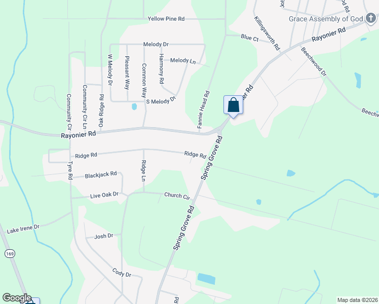 map of restaurants, bars, coffee shops, grocery stores, and more near 142 Ridge Road in Jesup