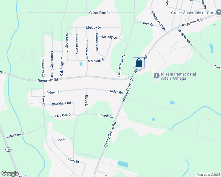 map of restaurants, bars, coffee shops, grocery stores, and more near 142 Ridge Road in Jesup