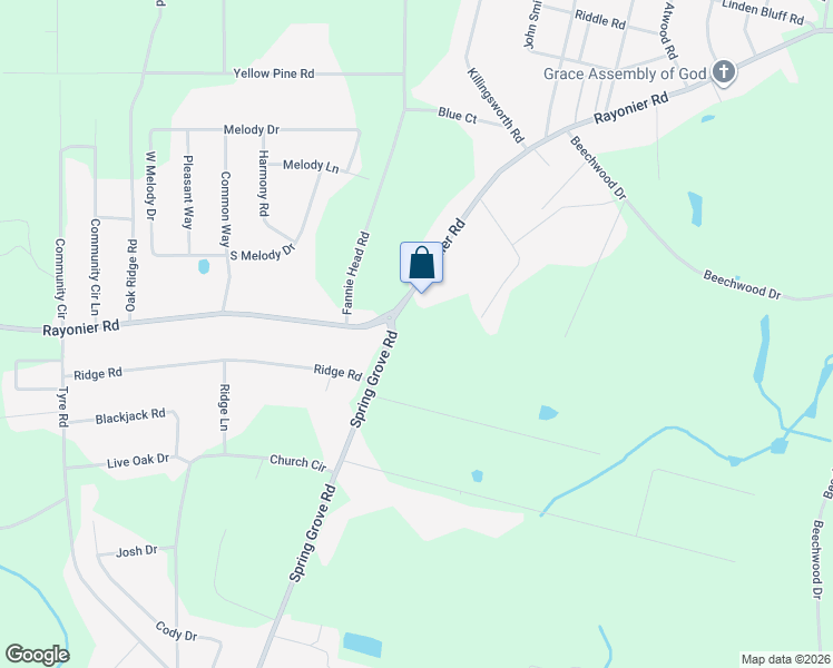 map of restaurants, bars, coffee shops, grocery stores, and more near 107 Forest Drive in Jesup