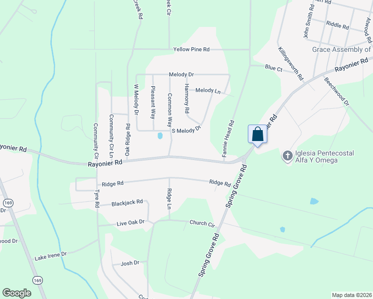 map of restaurants, bars, coffee shops, grocery stores, and more near 1031 Rayonier Road in Jesup