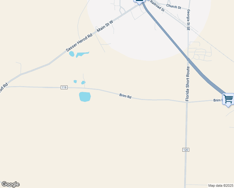 map of restaurants, bars, coffee shops, grocery stores, and more near County Road 119 in Terrell County