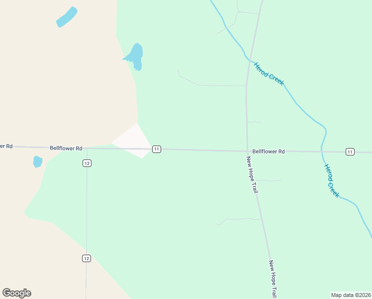 map of restaurants, bars, coffee shops, grocery stores, and more near Bellflower Road in Terrell County