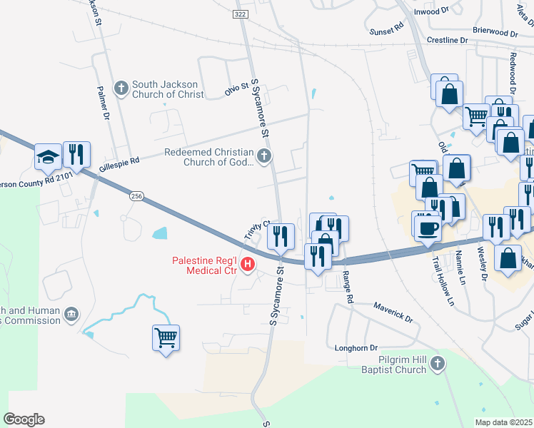 map of restaurants, bars, coffee shops, grocery stores, and more near 101 Trinity Court in Palestine