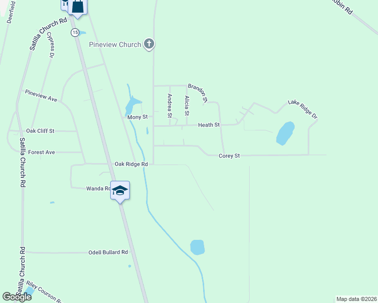 map of restaurants, bars, coffee shops, grocery stores, and more near 135 Alicia Street in Baxley