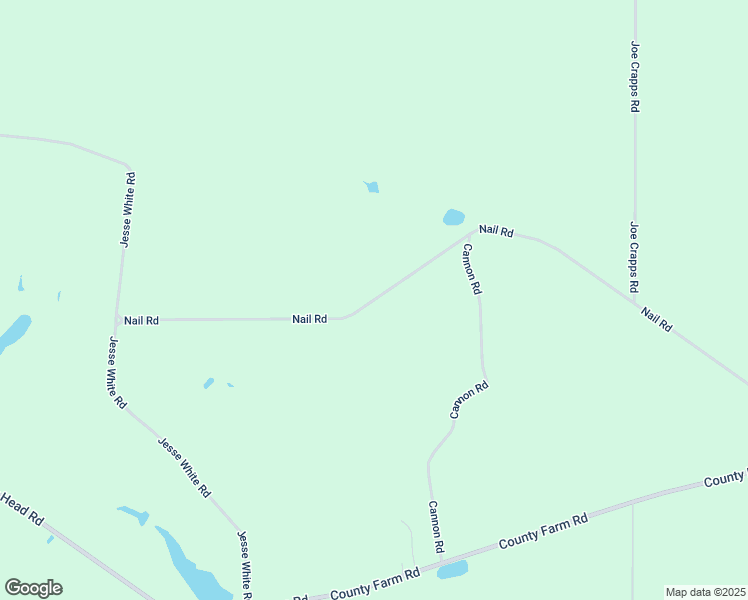 map of restaurants, bars, coffee shops, grocery stores, and more near Nail Road in Appling County