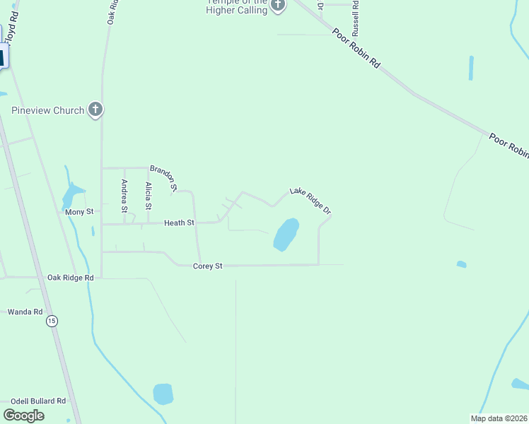 map of restaurants, bars, coffee shops, grocery stores, and more near 110 Lake Ridge Drive in Baxley