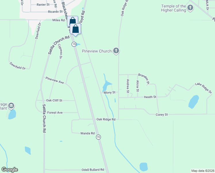 map of restaurants, bars, coffee shops, grocery stores, and more near 64 Mony Street in Baxley