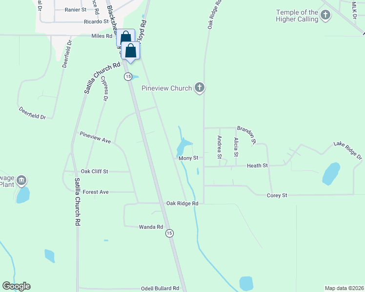 map of restaurants, bars, coffee shops, grocery stores, and more near 64 Mony Street in Baxley