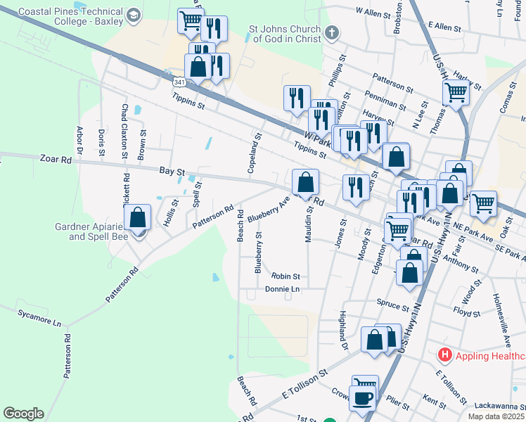 map of restaurants, bars, coffee shops, grocery stores, and more near 132 Blueberry Avenue in Baxley
