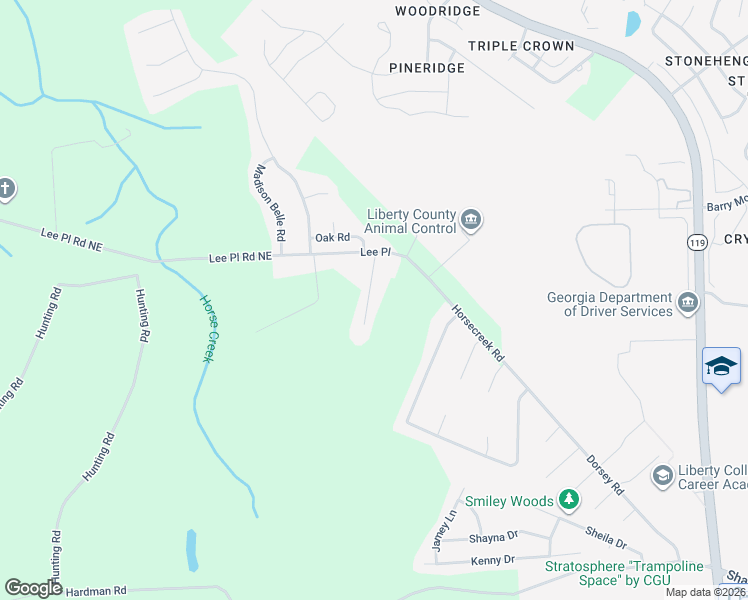 map of restaurants, bars, coffee shops, grocery stores, and more near 143 Scott Spencer Street Northeast in Ludowici