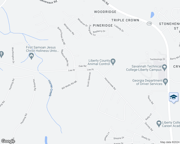 map of restaurants, bars, coffee shops, grocery stores, and more near 202 Scott Spencer Road in Ludowici