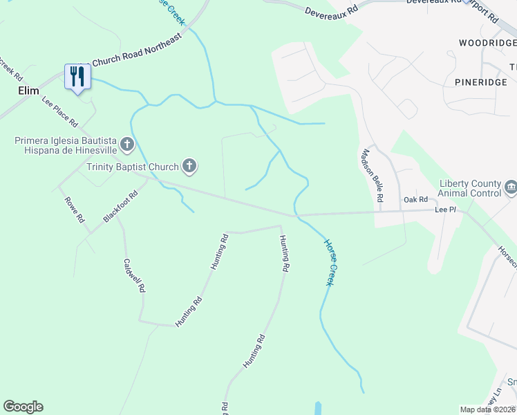 map of restaurants, bars, coffee shops, grocery stores, and more near 217 Lee Place Road in Ludowici