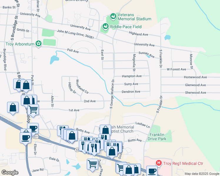 map of restaurants, bars, coffee shops, grocery stores, and more near 413 South George Wallace Drive in Troy