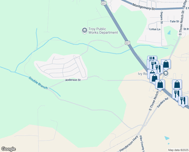 map of restaurants, bars, coffee shops, grocery stores, and more near Anderson Street in Troy