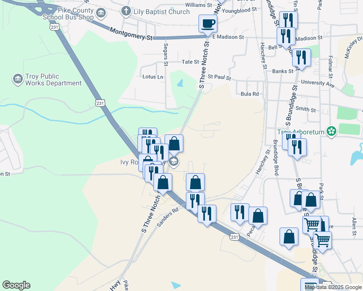 map of restaurants, bars, coffee shops, grocery stores, and more near 718 South 3 Notch Street in Troy