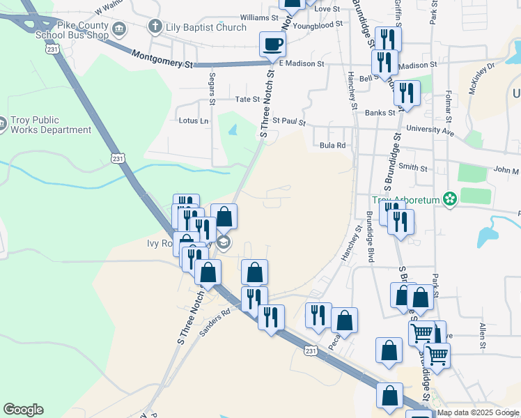 map of restaurants, bars, coffee shops, grocery stores, and more near 718 South 3 Notch Street in Troy