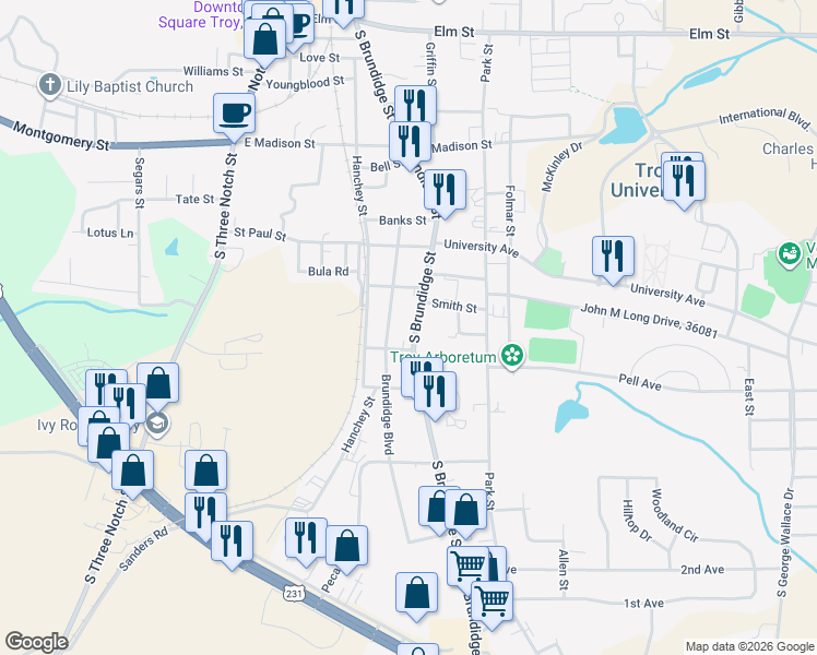 map of restaurants, bars, coffee shops, grocery stores, and more near 818 South Brundidge Street in Troy