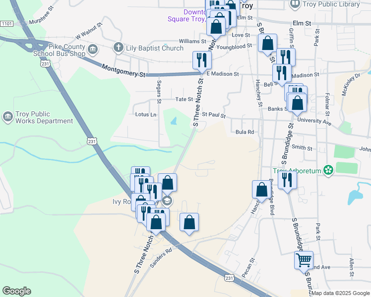 map of restaurants, bars, coffee shops, grocery stores, and more near 600 South Three Notch Street in Troy