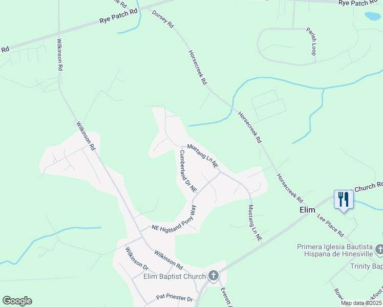 map of restaurants, bars, coffee shops, grocery stores, and more near 575 Mustang Lane Northeast in Ludowici