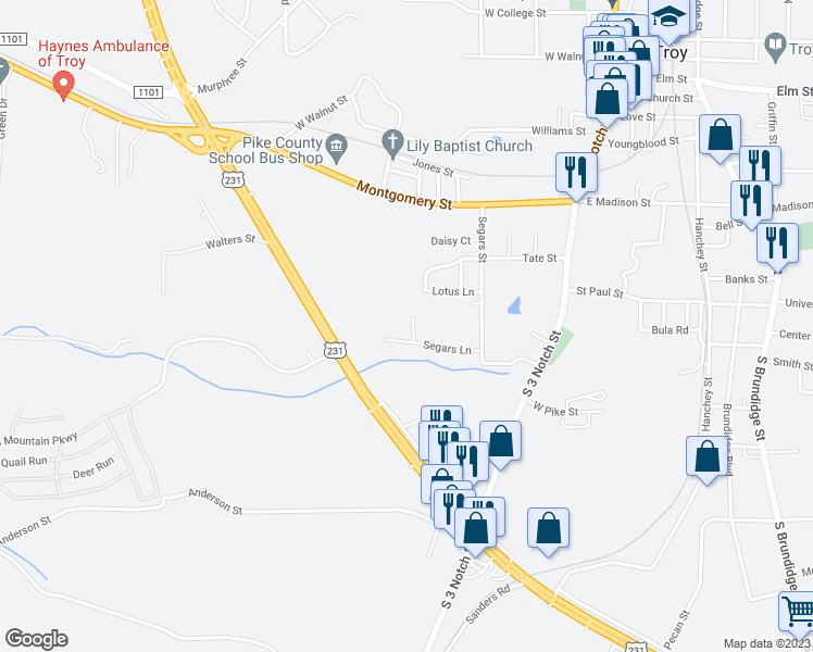 map of restaurants, bars, coffee shops, grocery stores, and more near 102 Segars Court in Troy