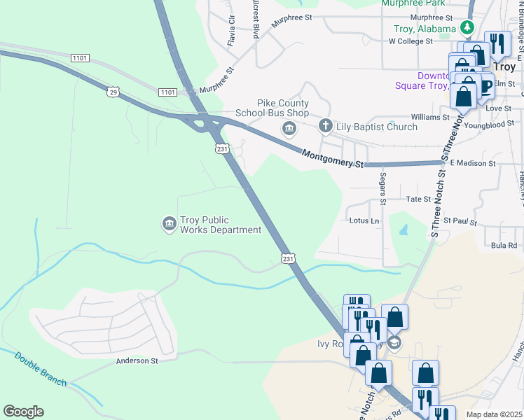 map of restaurants, bars, coffee shops, grocery stores, and more near U.S. 231 in Troy