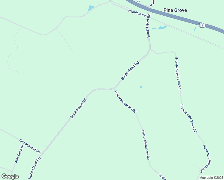 map of restaurants, bars, coffee shops, grocery stores, and more near 116 Foster Steadham Road in Baxley