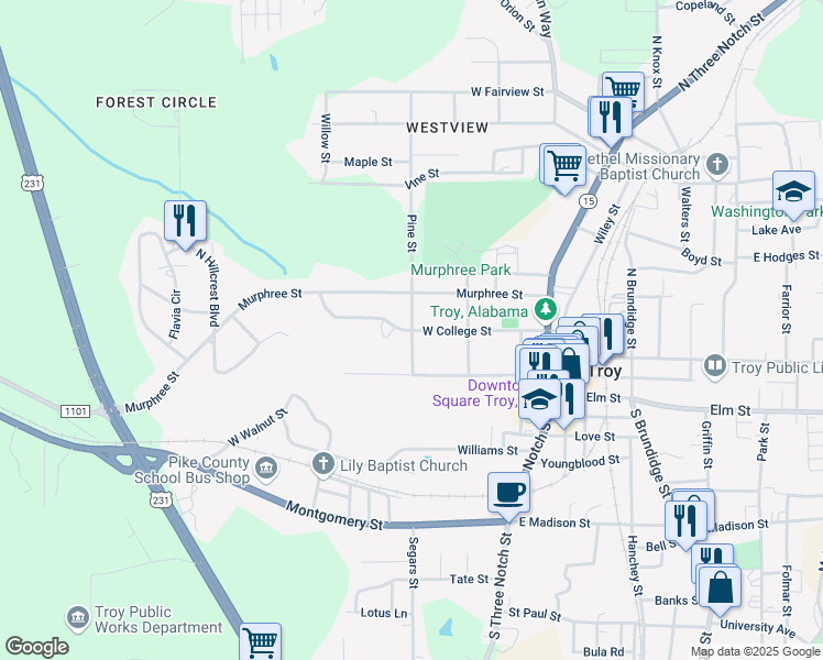 map of restaurants, bars, coffee shops, grocery stores, and more near 400 West College Street in Troy