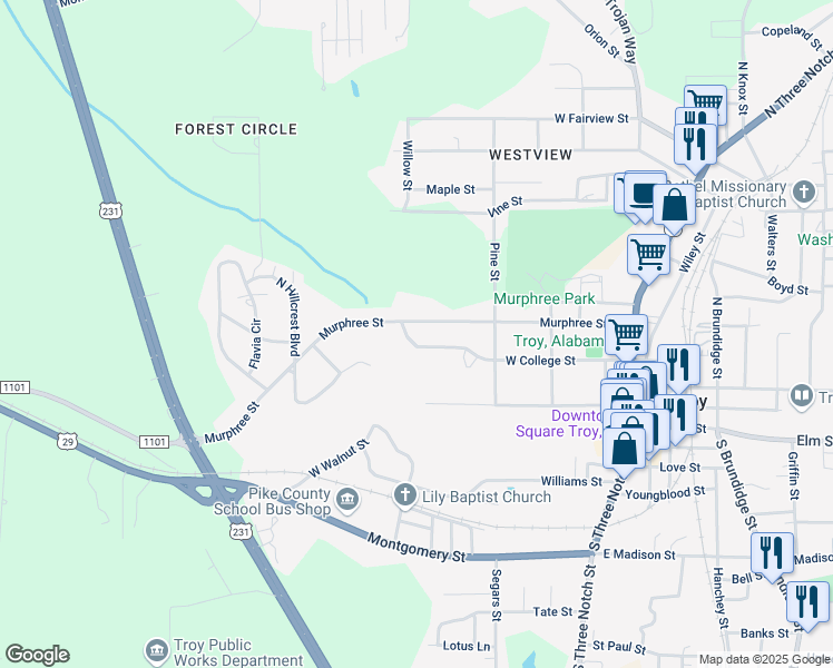 map of restaurants, bars, coffee shops, grocery stores, and more near 400-432 West College Street in Troy