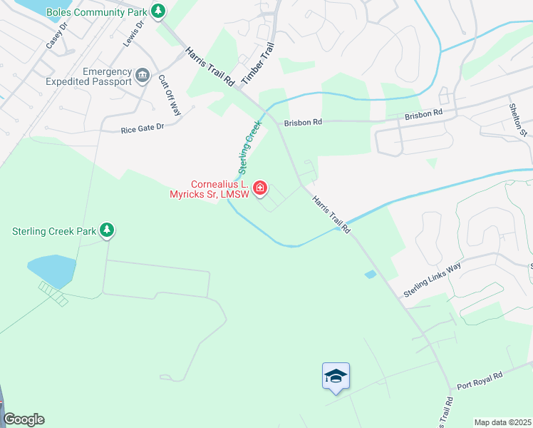 map of restaurants, bars, coffee shops, grocery stores, and more near 296 Cypress Point Drive in Richmond Hill