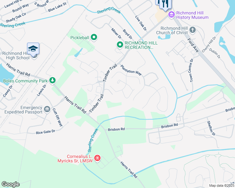 map of restaurants, bars, coffee shops, grocery stores, and more near 203 Cottonham Court in Richmond Hill