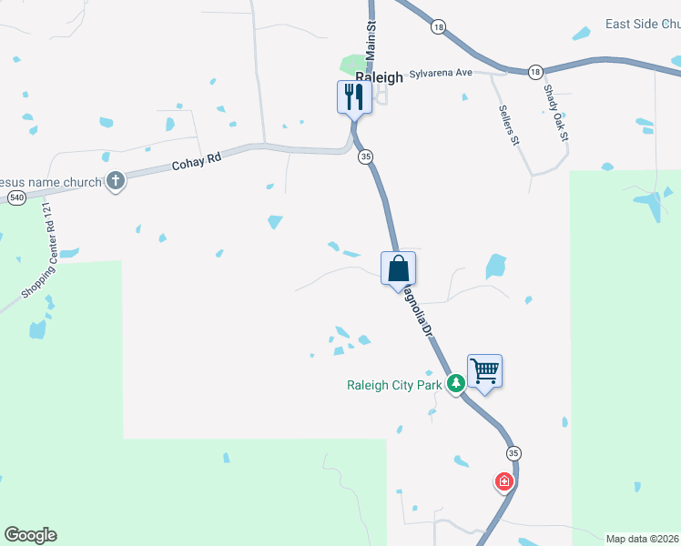 map of restaurants, bars, coffee shops, grocery stores, and more near 305 Park Place in Raleigh