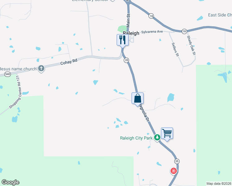 map of restaurants, bars, coffee shops, grocery stores, and more near 305 Park Place in Raleigh