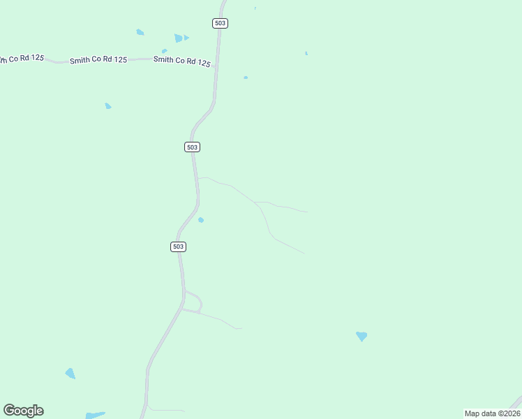 map of restaurants, bars, coffee shops, grocery stores, and more near Smith Co Road 503-D in Smith County