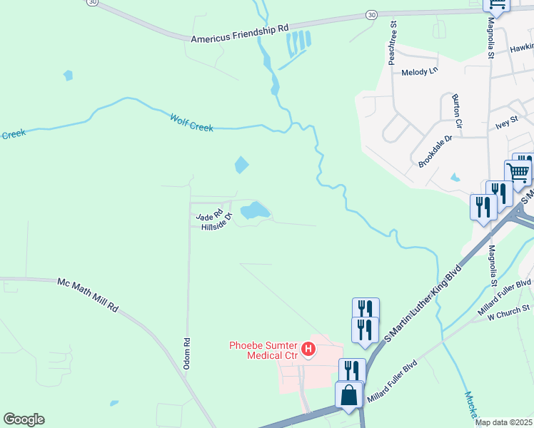 map of restaurants, bars, coffee shops, grocery stores, and more near 149-199 Odom Road Extd in Americus