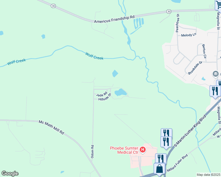 map of restaurants, bars, coffee shops, grocery stores, and more near 149 Odom Road Extd in Americus