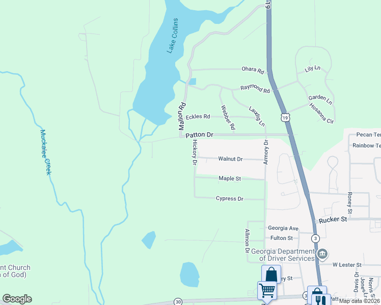 map of restaurants, bars, coffee shops, grocery stores, and more near 219 Walnut Drive in Americus