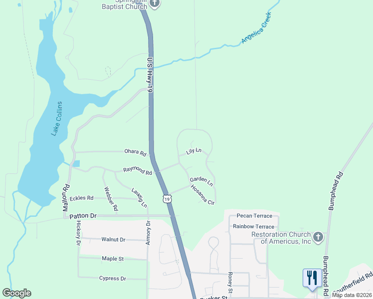map of restaurants, bars, coffee shops, grocery stores, and more near 112 Lily Lane in Americus