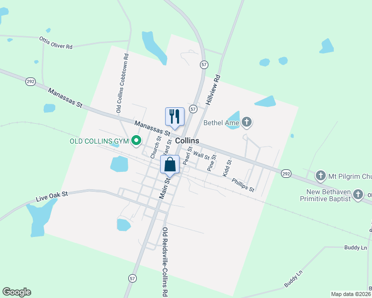 map of restaurants, bars, coffee shops, grocery stores, and more near in Collins