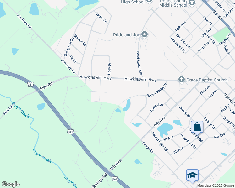 map of restaurants, bars, coffee shops, grocery stores, and more near 667 Hawkinsville Highway in Eastman