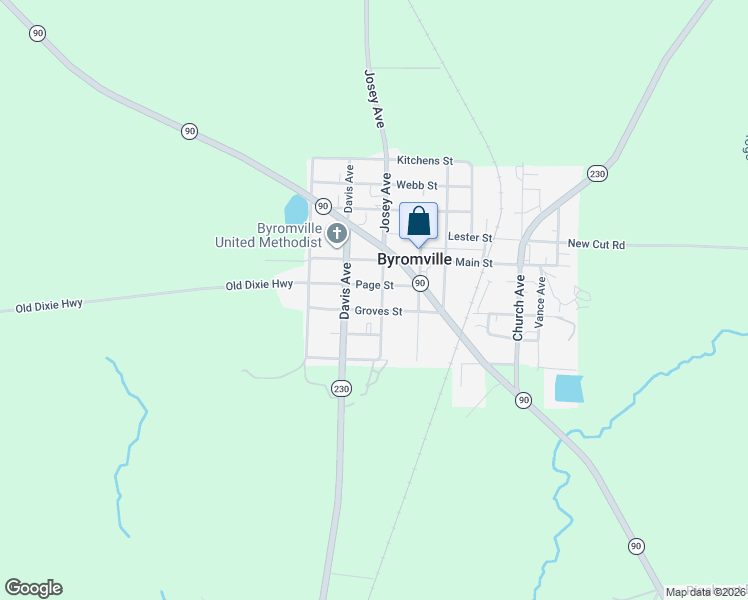 map of restaurants, bars, coffee shops, grocery stores, and more near 401 Josey Avenue in Byromville