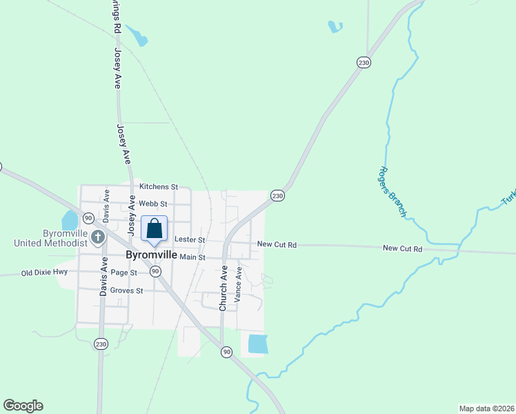 map of restaurants, bars, coffee shops, grocery stores, and more near 207 Unadilla Road in Byromville
