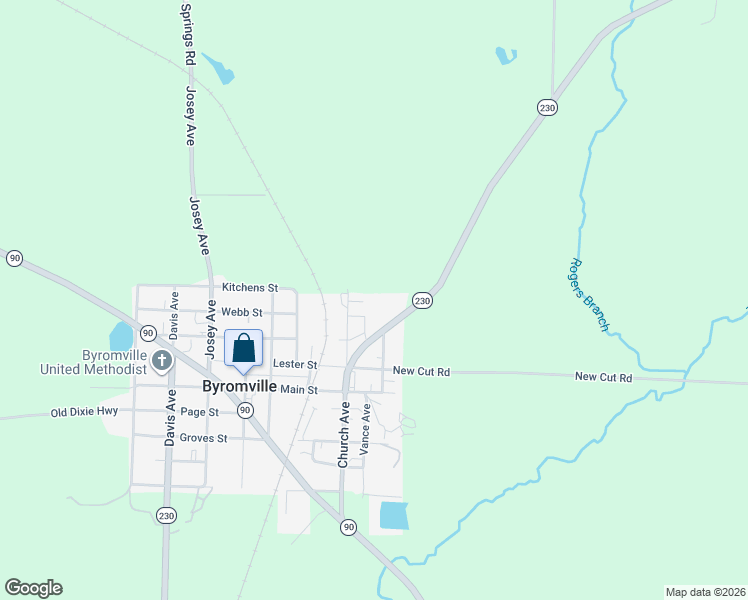 map of restaurants, bars, coffee shops, grocery stores, and more near 207 Unadilla Road in Byromville