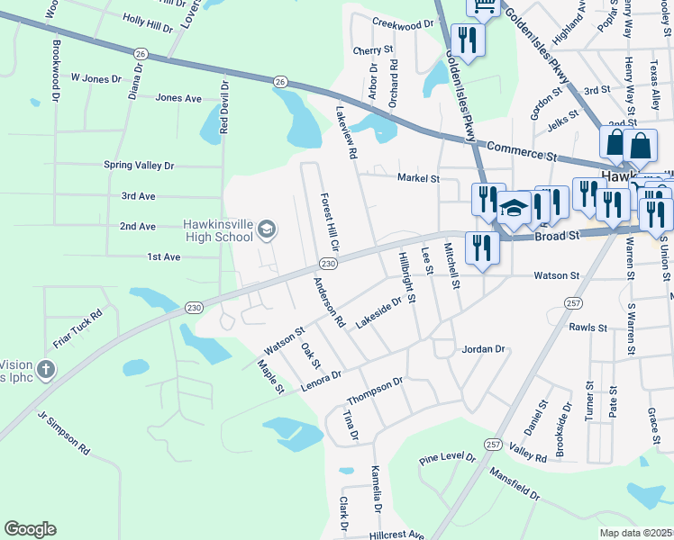 map of restaurants, bars, coffee shops, grocery stores, and more near 319 Broad Street in Hawkinsville