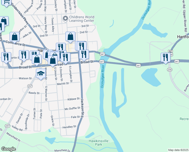 map of restaurants, bars, coffee shops, grocery stores, and more near 100 South Street in Hawkinsville