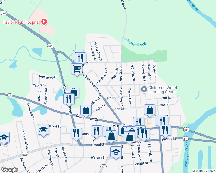 map of restaurants, bars, coffee shops, grocery stores, and more near 19 Martin Luther King Junior Boulevard in Hawkinsville