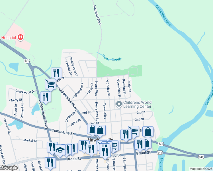 map of restaurants, bars, coffee shops, grocery stores, and more near 256 North Dooley Street in Hawkinsville