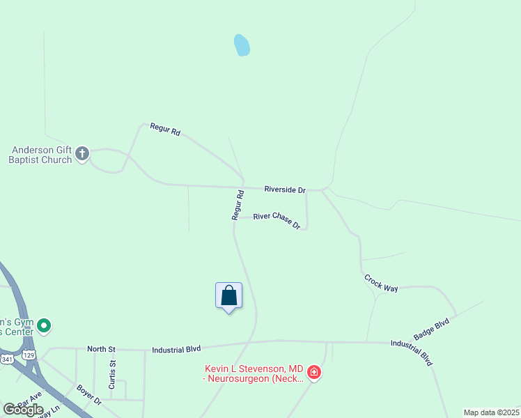 map of restaurants, bars, coffee shops, grocery stores, and more near 24 Riverside Drive in Hawkinsville