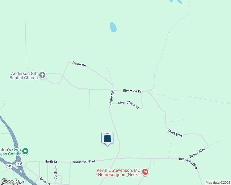 map of restaurants, bars, coffee shops, grocery stores, and more near 24 Riverside Drive in Hawkinsville