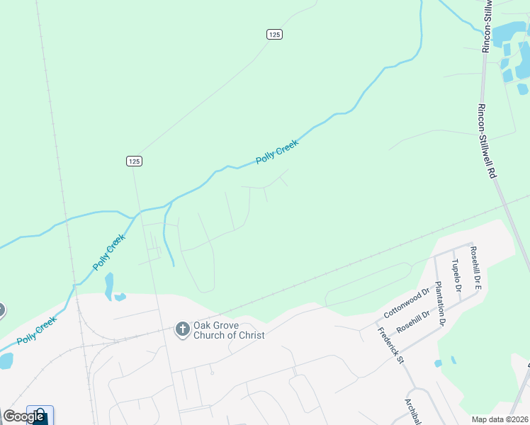 map of restaurants, bars, coffee shops, grocery stores, and more near 206 Lennox Place in Rincon