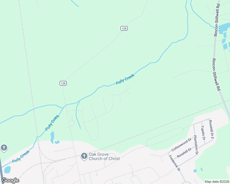 map of restaurants, bars, coffee shops, grocery stores, and more near 325 Polly Branch Drive in Rincon